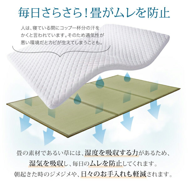 g46/500047900_w_51_wg_04.jpg