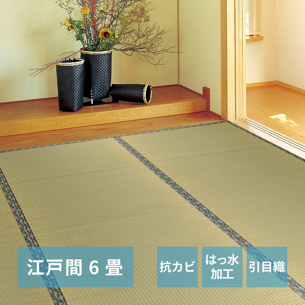 い草カーペット 白馬（はくば） 江戸間 6畳（261×352） カラー グリーン