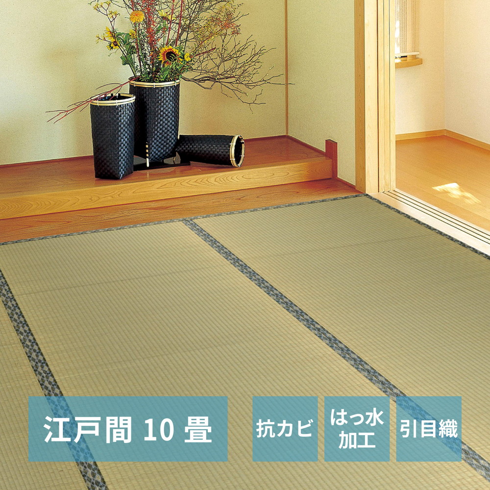 い草カーペット 白馬（はくば） 江戸間 10畳（352×440） カラー グリーン
