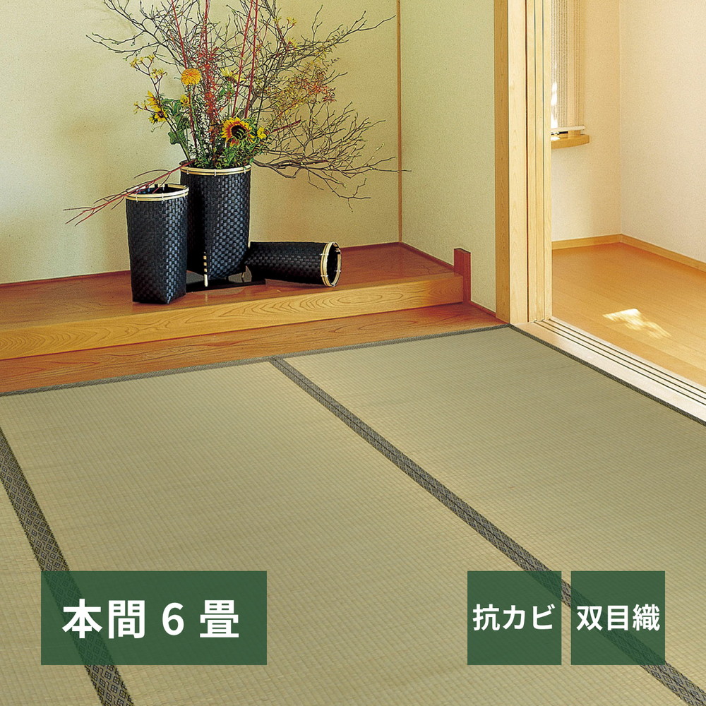 い草カーペット 柳川（やながわ） 本間 6帖（286×382） カラー グリーン