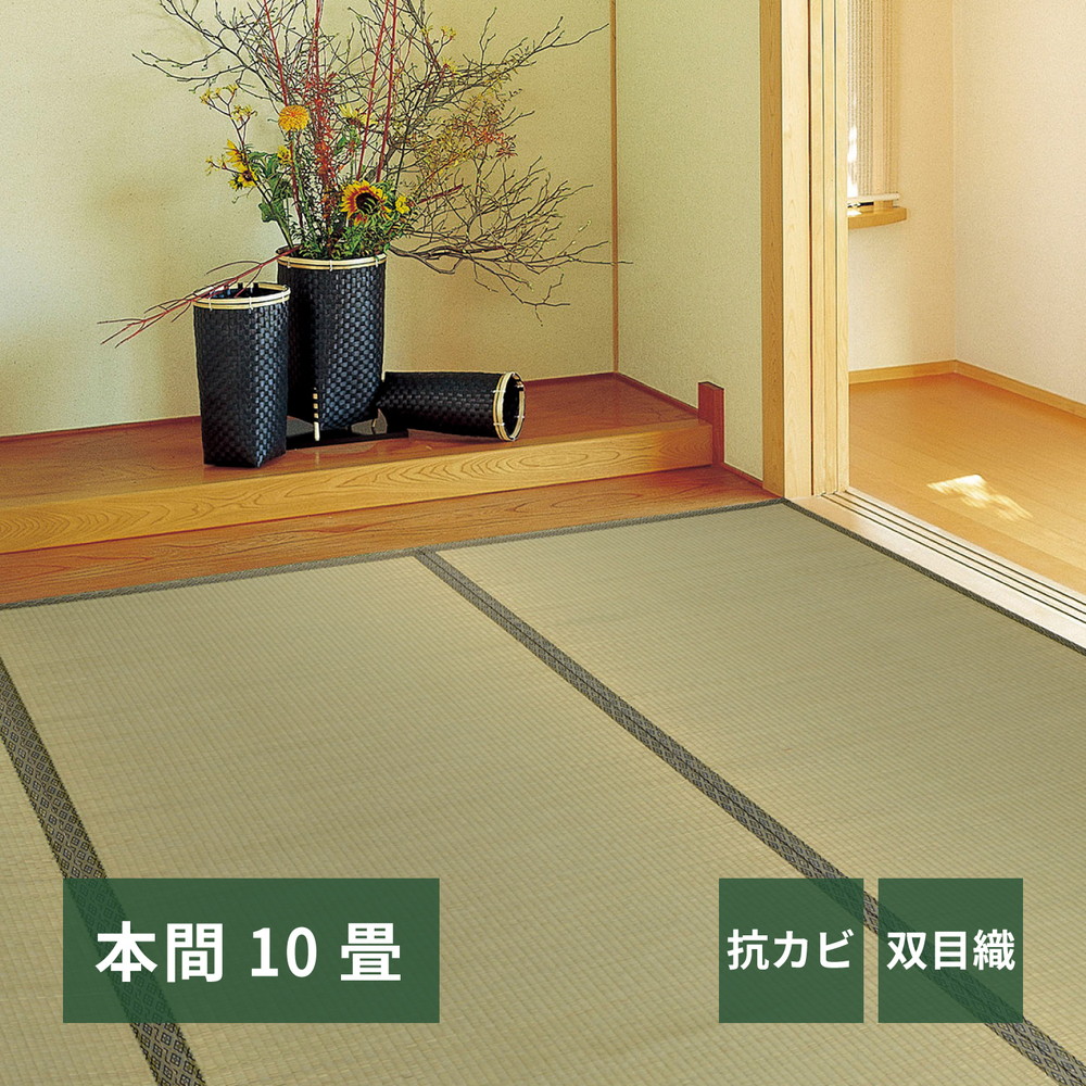 い草カーペット 柳川（やながわ） 本間 10帖（477×382） カラー グリーン