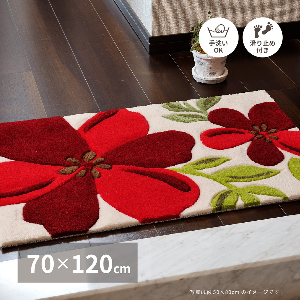 玄関マット アベル 70×120cm カラー マルチカラー