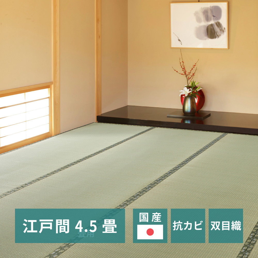 国産い草カーペット 天草 江戸間 4.5帖（261×261） カラー グリーン