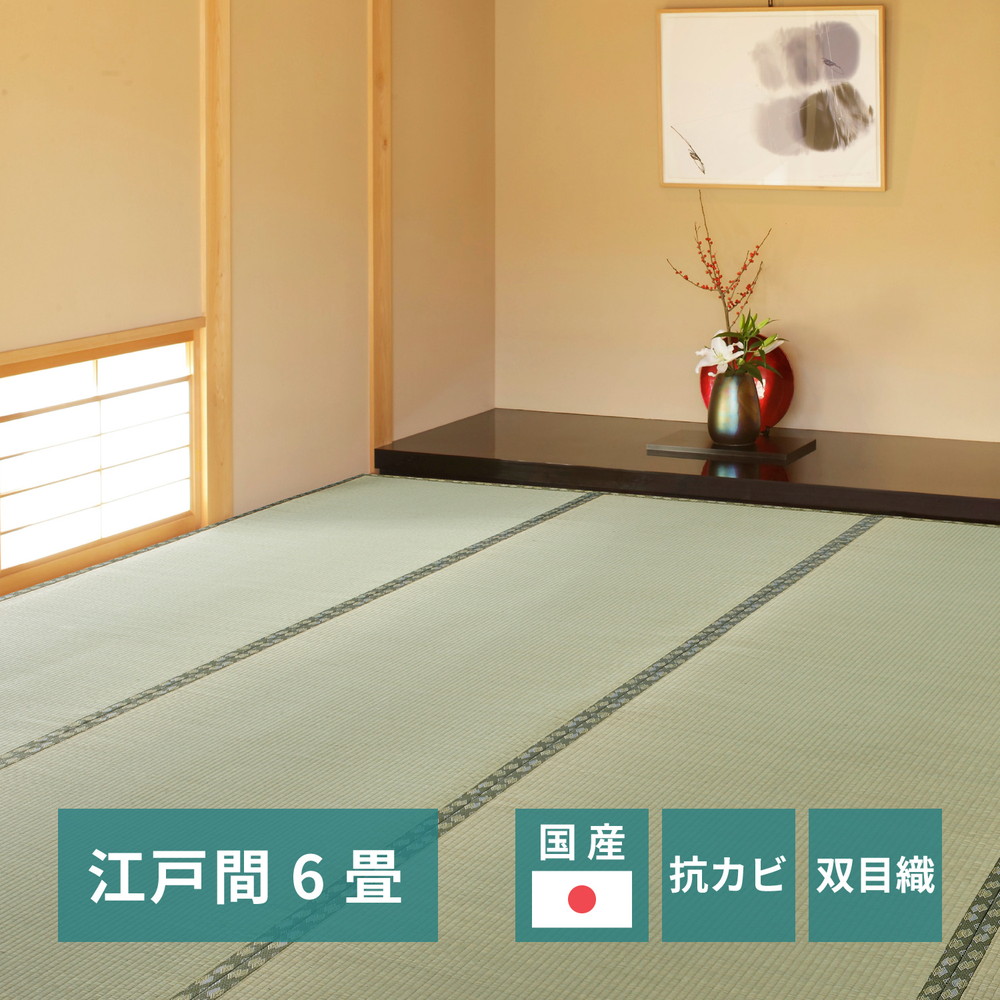 国産い草カーペット 天草 江戸間 6帖（261×352） カラー グリーン