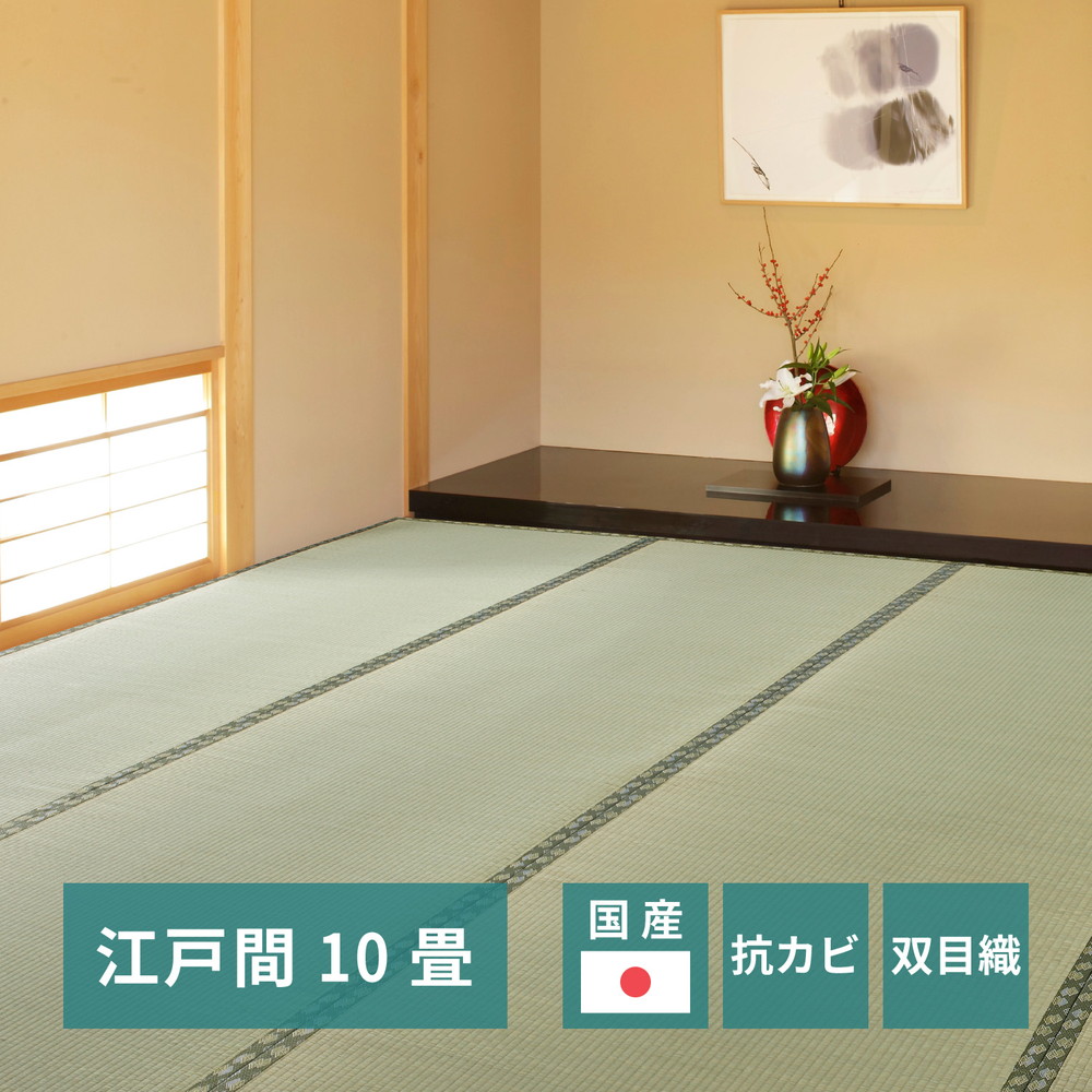 国産い草カーペット 天草 江戸間 10帖（352×440） カラー グリーン