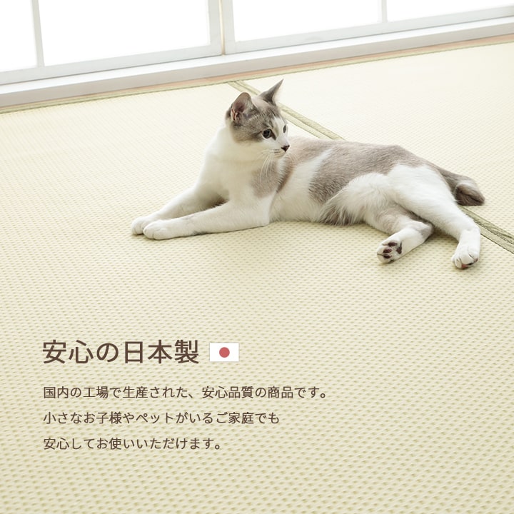 g81/1090740020802-pop12.jpg