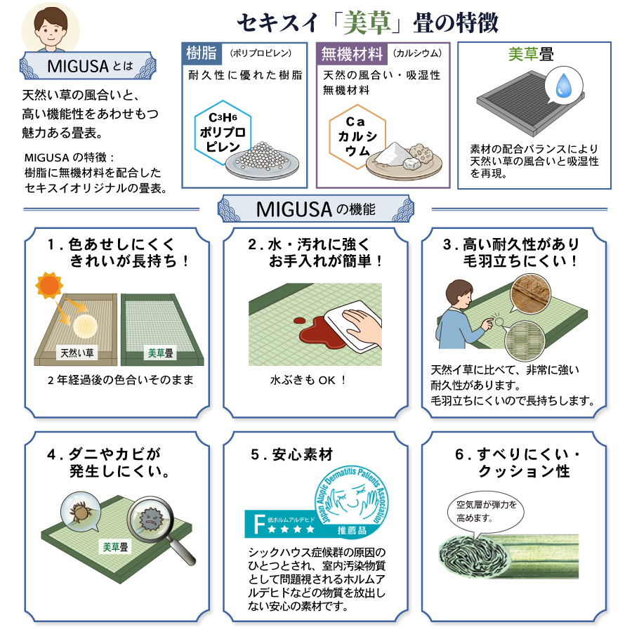 g82/21mg-ctl-11.jpg